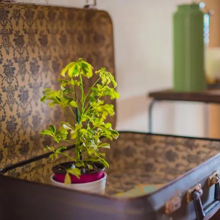 Casa El Cerco Casa rural *