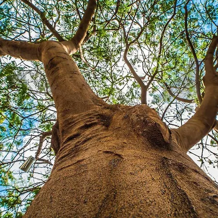 Casa El Cerco Tabayesco