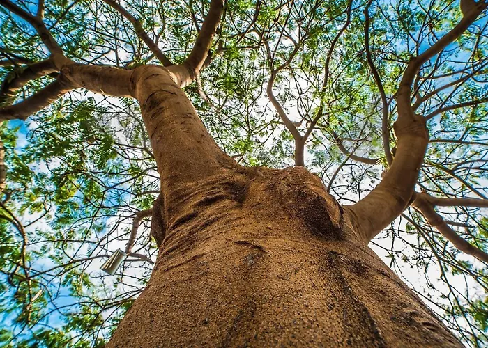 Casa El Cerco Tabayesco